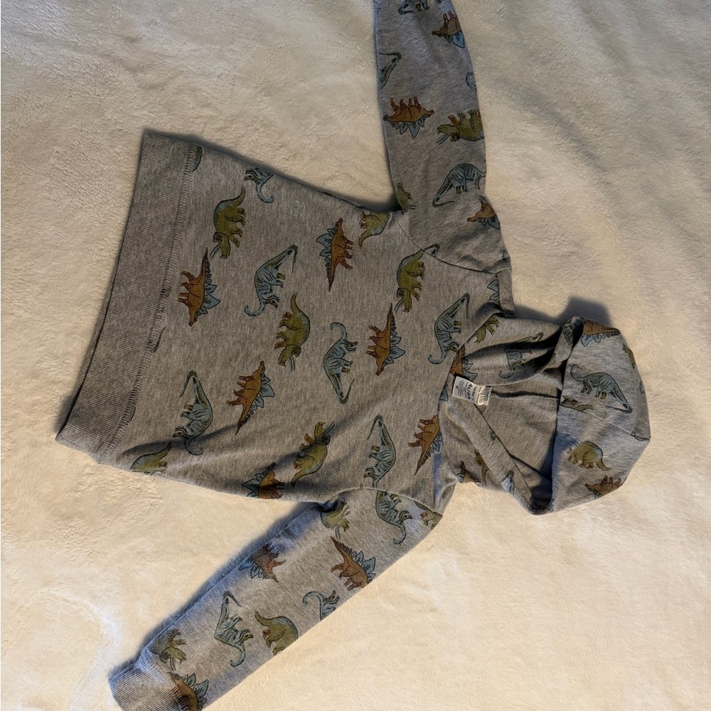Carter's Gray Dinosaur Hoodie for Kids